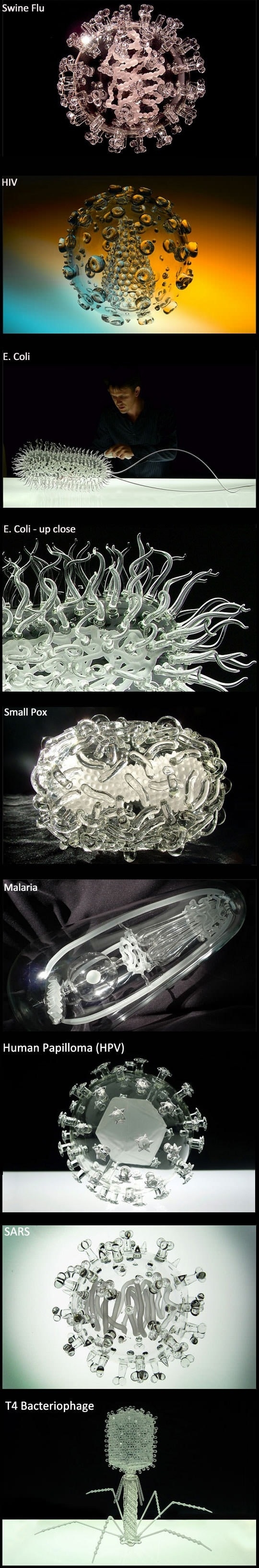 Glass replicas of viruses