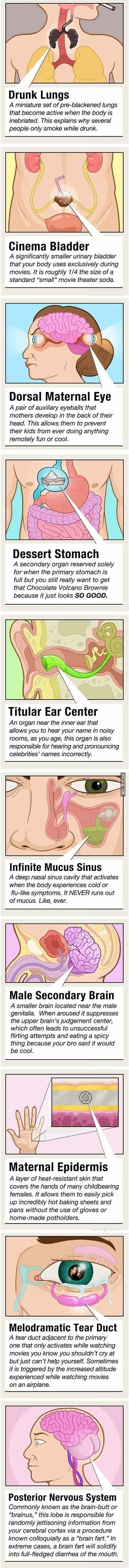 Secret body functions