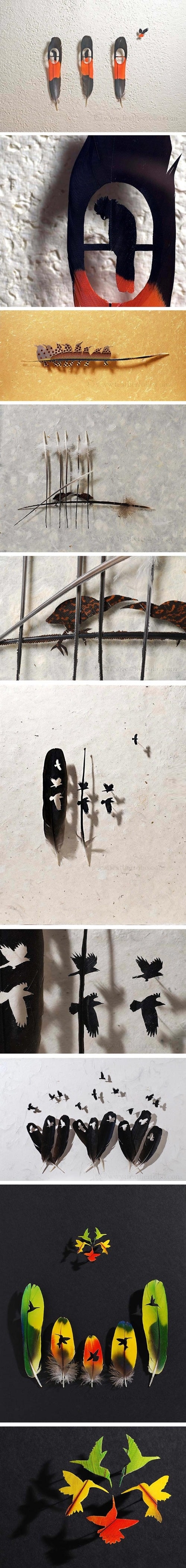 Cool feather art