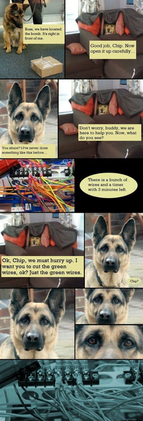 Come on chip, you can do it