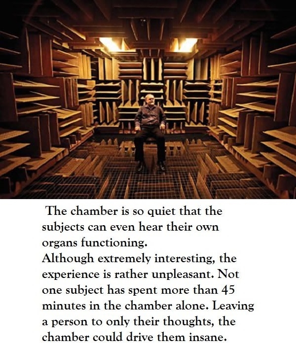 The worlds quietest room