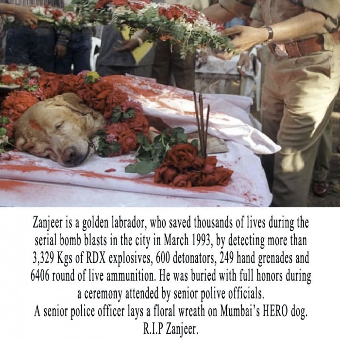 Everyone will remember you