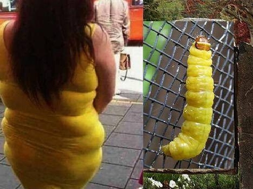 B*tch stole my look!