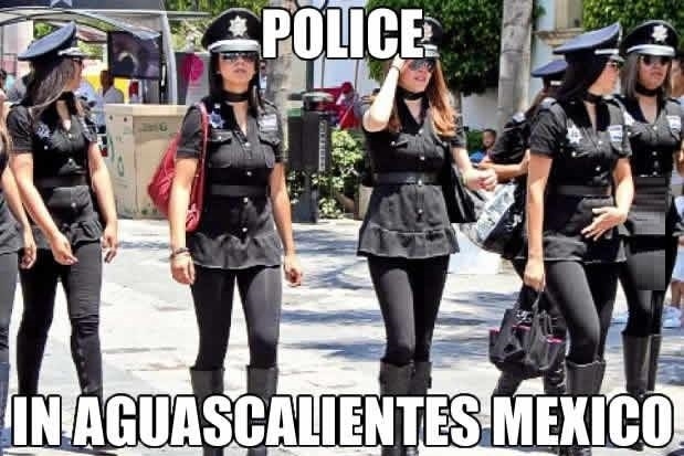 I'm gonna commit a crime!