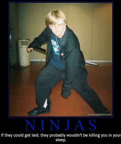 Laid Ninja