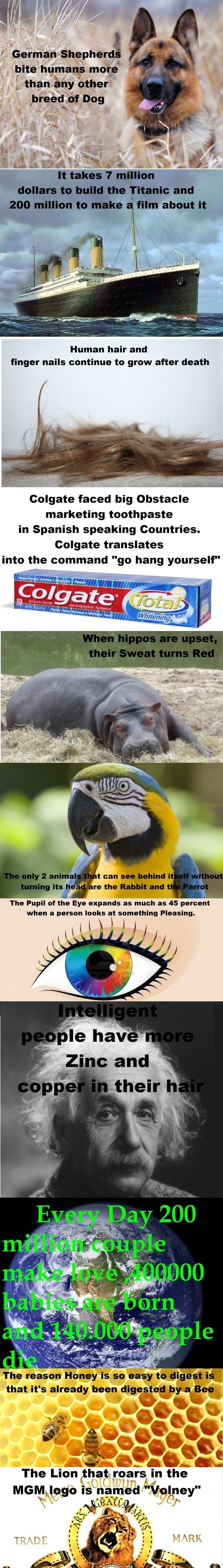 Amazing Facts