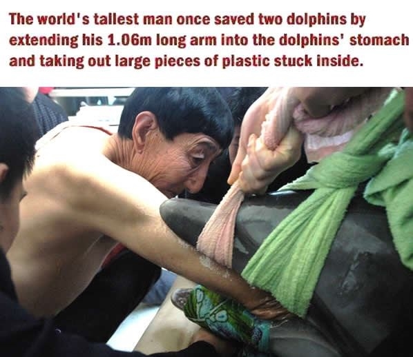 Faith in humanity restored!