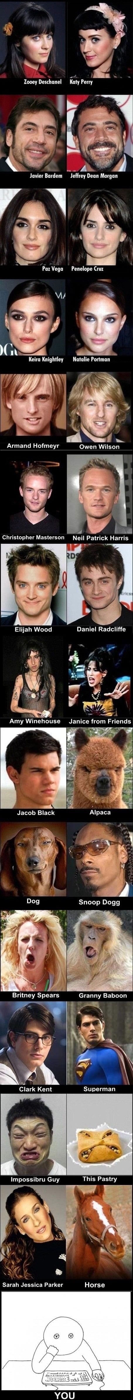 Extreme look-alikes
