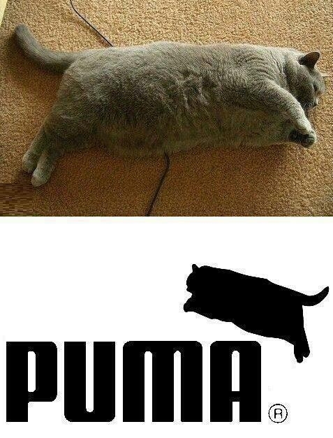 Puma's new plus size logo