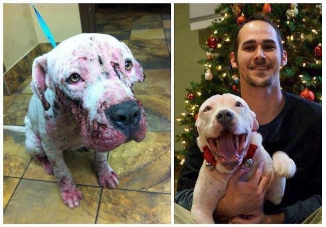 Before & after rescue