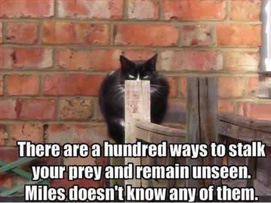 You're doing it wrong