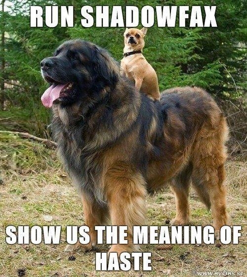 Run Shadowfax