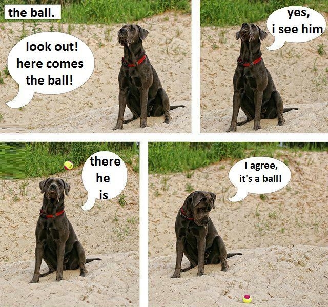 I agree, it's a ball!
