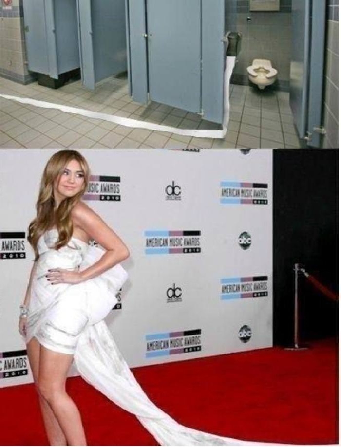 Toilet paper vs fashion