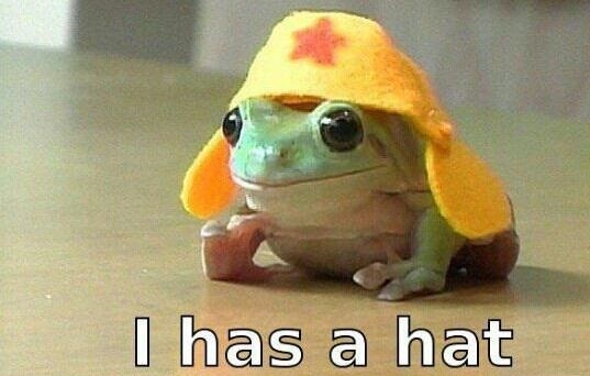 Awesome frog