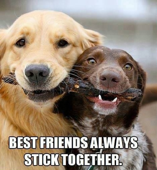 Best friends
