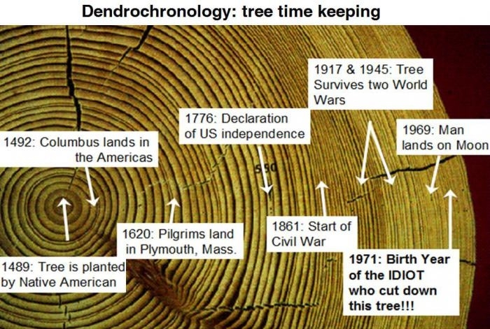 Dendrochronology