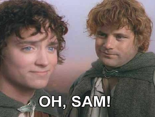 NZ approves gay-marriage