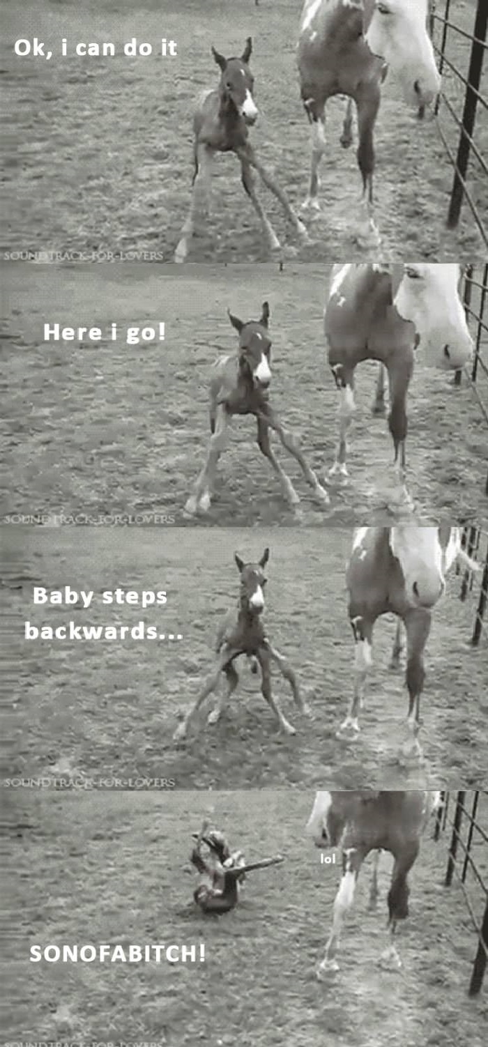 Baby steps backwards