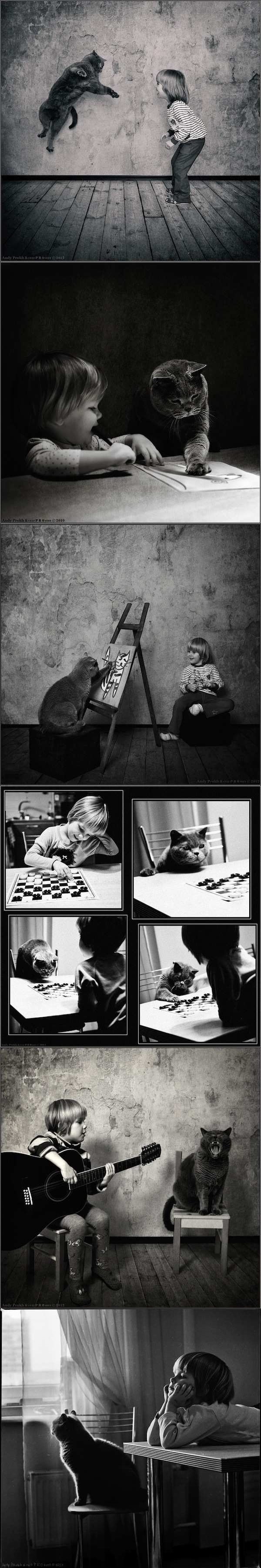 Cat & girl friendship