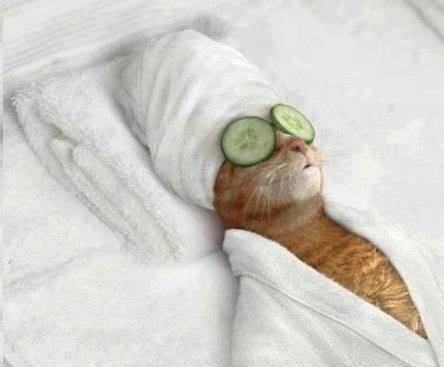 Don't talk to me now