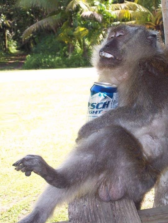 How's your day going?