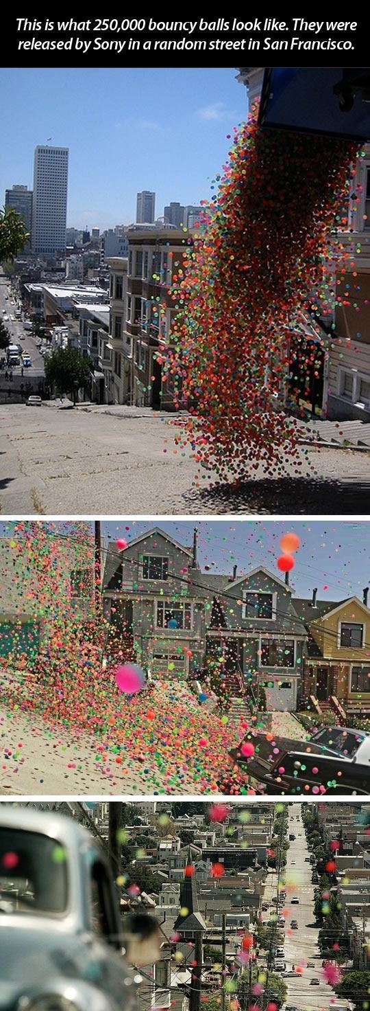 Who picked all of them up?