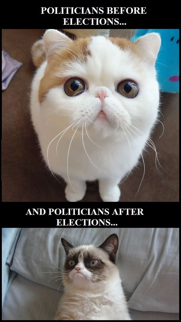 Politicians