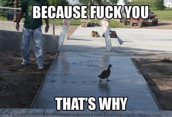 Just seeing if it is dry sir