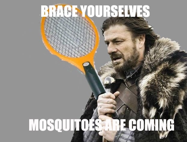 Mosquitoes are coming!