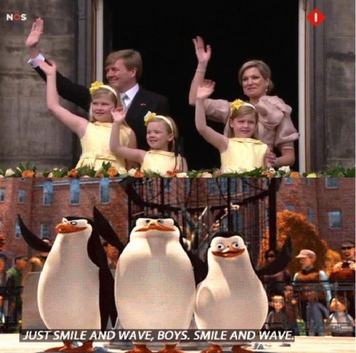 New Dutch King