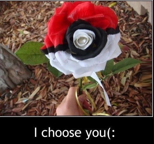 I choose you too