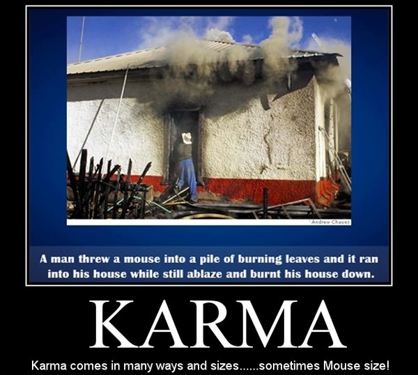 Karma's a b*tch