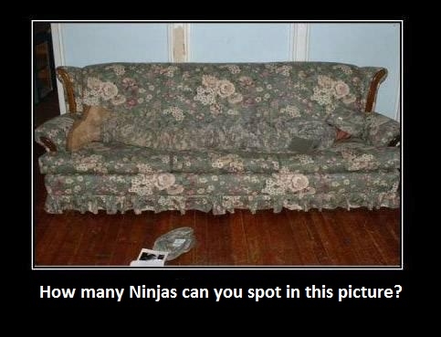 Ninjas