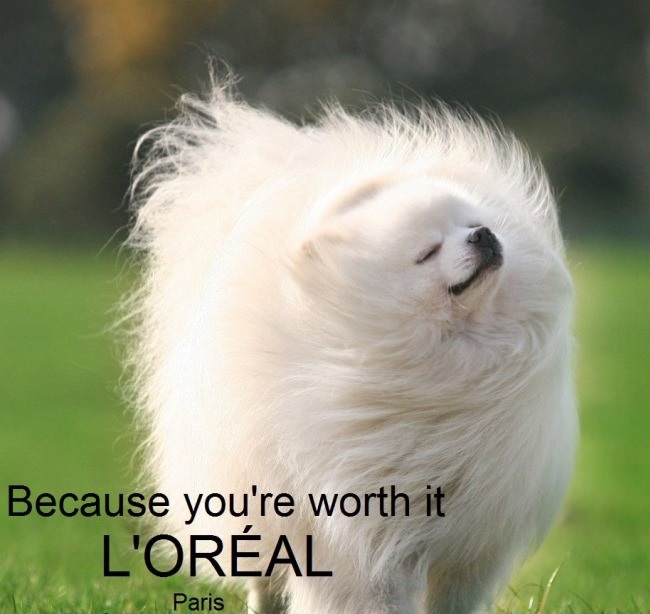 Because you're worth it