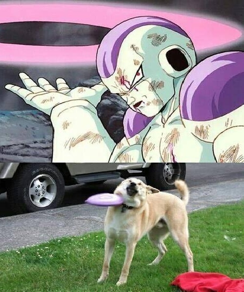 Freeza attacking again!