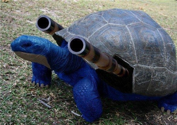 Go Blastoise!