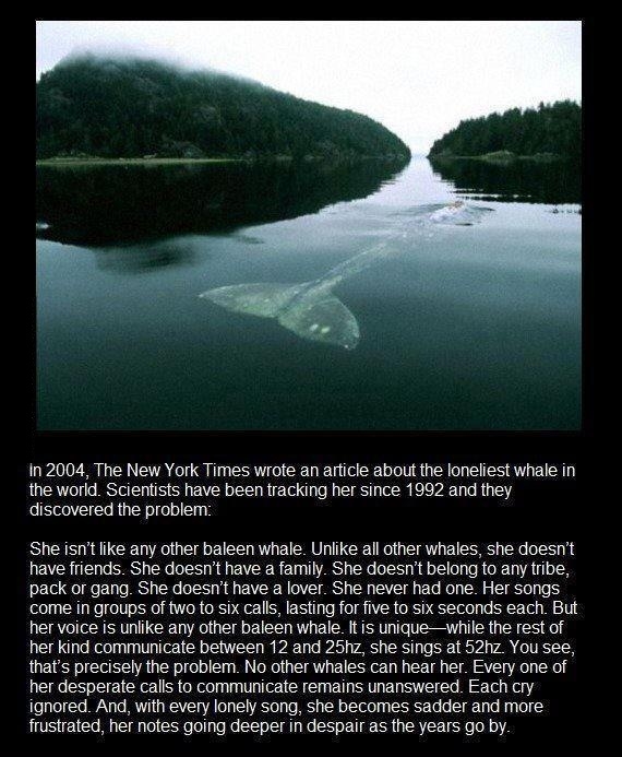 Lie down.. cry, cry a lot!