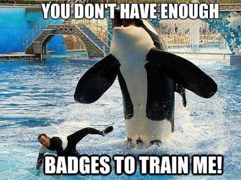 Killer whale, I choose you!