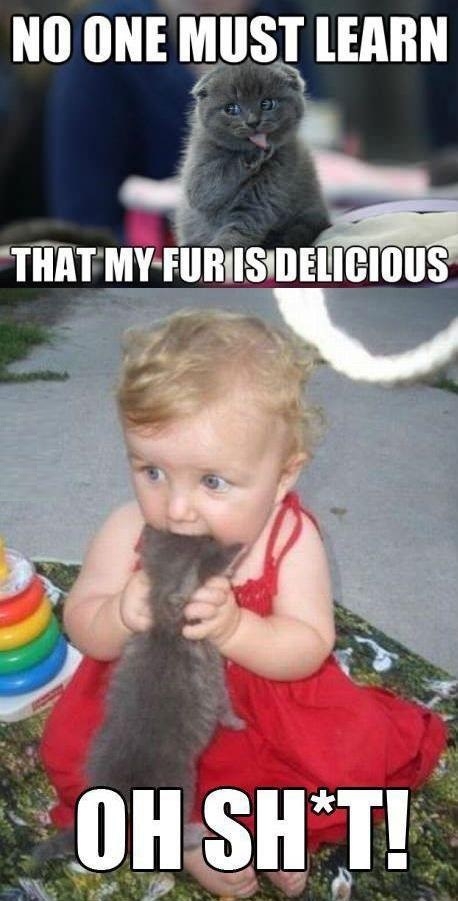 Delicious fur