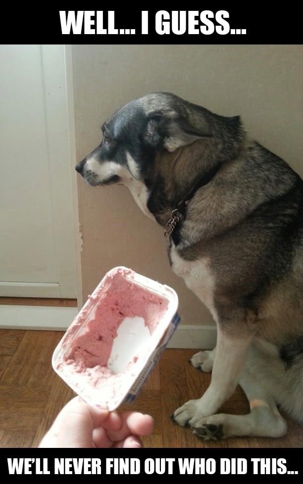 Guilt is eating him!