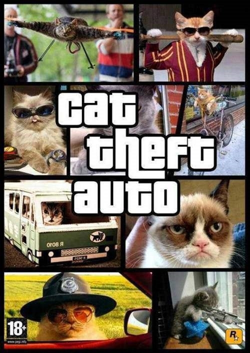 Cat Theft Auto