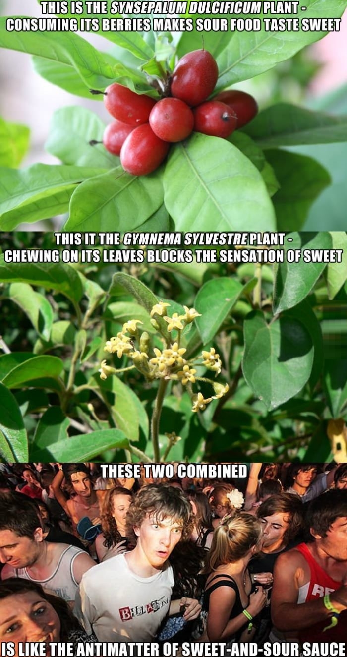 A genuine discovery