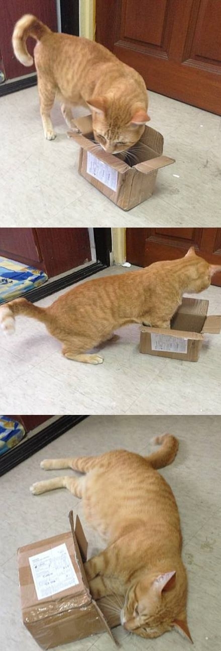 If it fits.. but it doesn't