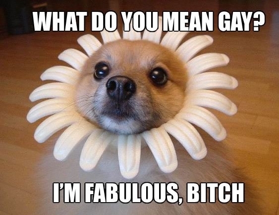 I'm just fabulous!