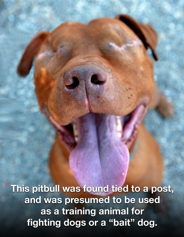 Still got his spirit