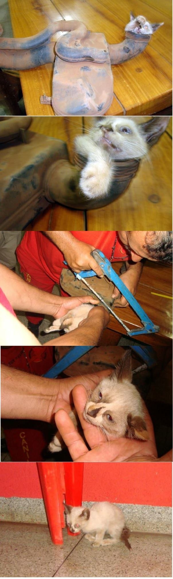 Faith in humanity restored