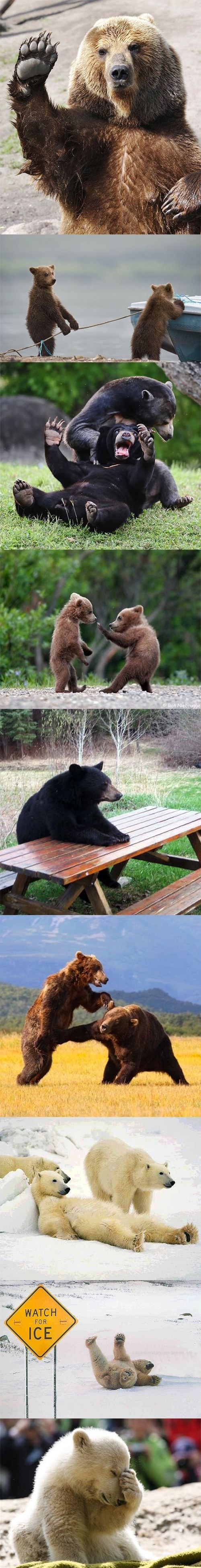 Human bears everywhere