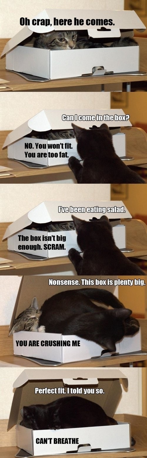 I just got comfortable!