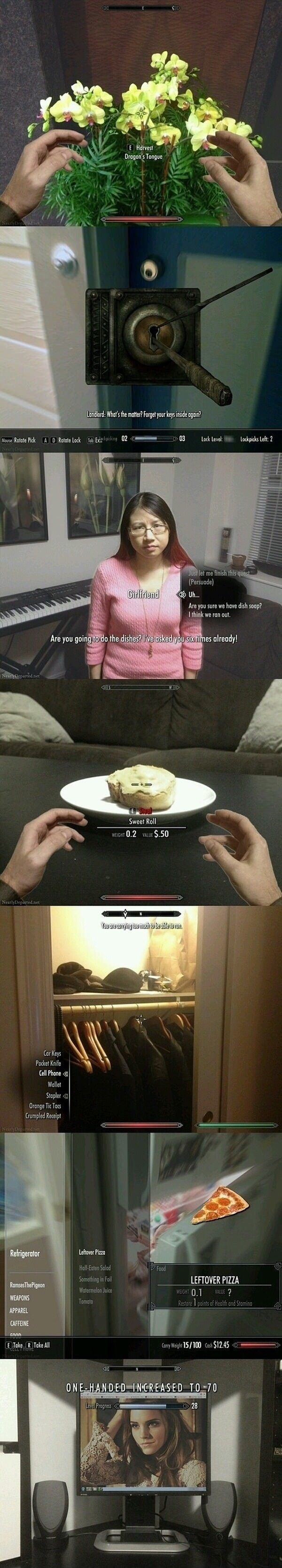 Too much Skyrim